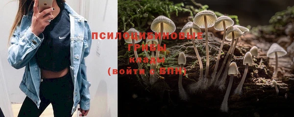 гидропоника Медногорск