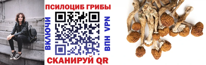Псилоцибиновые грибы Magic Shrooms blacksprut ссылки Княгинино