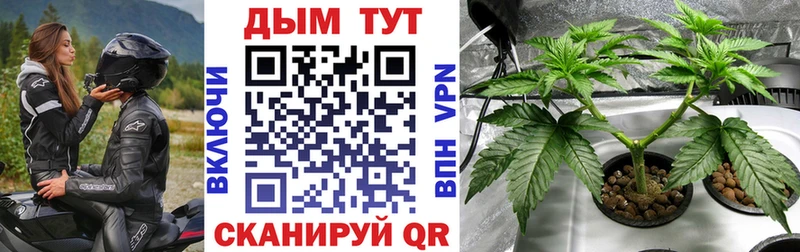 МАРИХУАНА White Widow  Княгинино 
